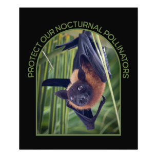 Protect Bats Photo Enlargement