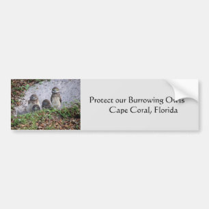 Protect Burrowing Owls Bumper Sticker