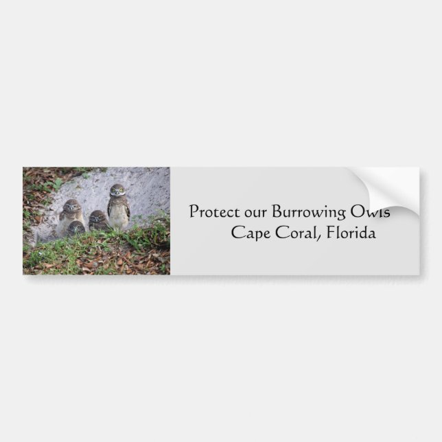 Protect Burrowing Owls Bumper Sticker (Front)