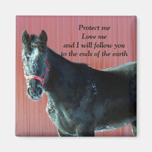 Protect me magnet