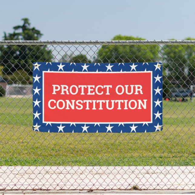 PROTECT OUR CONSTITUTION Banner (Insitu)
