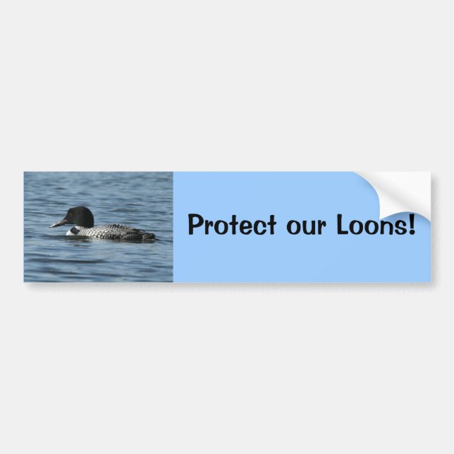 Protect our Loons Bumper Sticker (Front)
