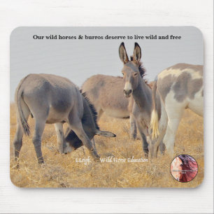 Protect our Wild Burros Mouse Mat