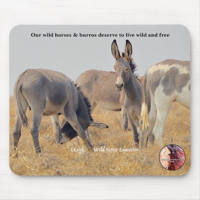 Protect our Wild Burros Mouse Mat (Front)
