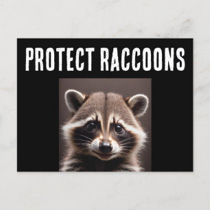 PROTECT RACCOONS RACCOON POSTCARDS