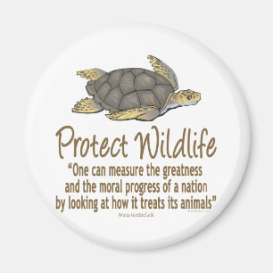 Protect Sea Turtles Magnet