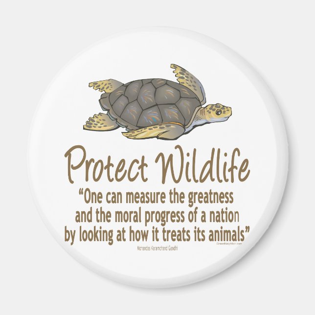 Protect Sea Turtles Magnet (Front)