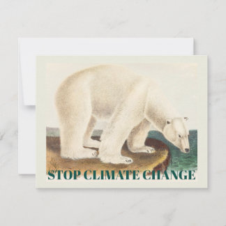 Protect the Arctic Polar Bear Climate Change Art