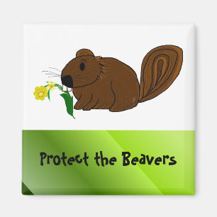 Protect the Beavers Magnet