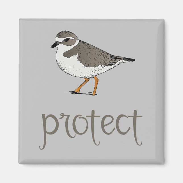Protect the Piping Plover Bird Magnet (Front)