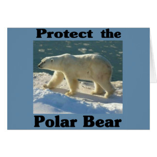 Protect the Polar Bear