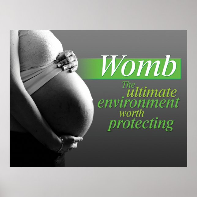 Protect the Womb Poster (Front)