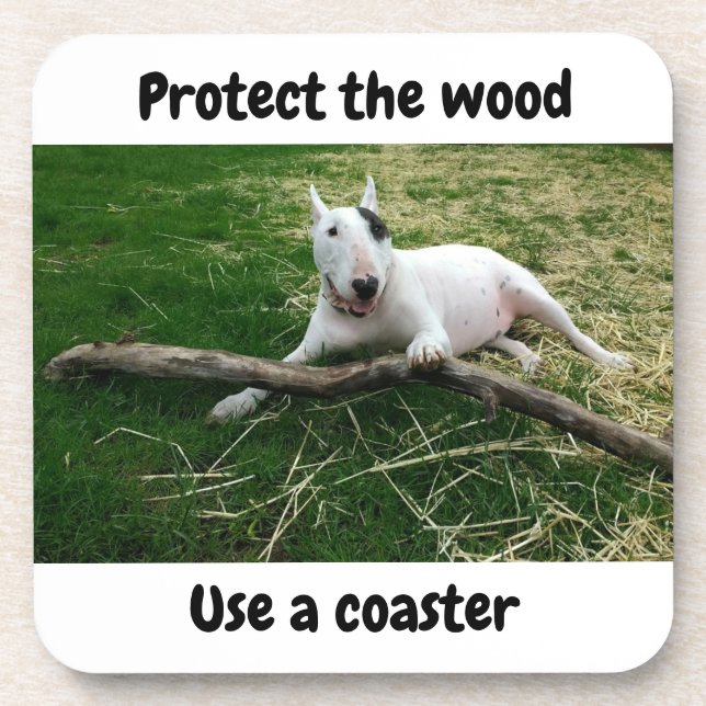 Protect the Wood Coaster (Front)