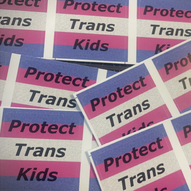 Protect Trans Kids Sticker (Creator Uploaded)
