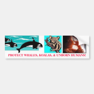 PROTECT WHALES, KOALAS, & UNBORN HUMANS! BUMPER STICKER