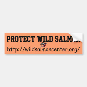 Protect Wild Salmon bumper sticker