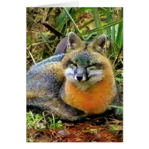 PROTECT WILDLIFE