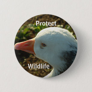 Protect Wildlife   6 Cm Round Badge