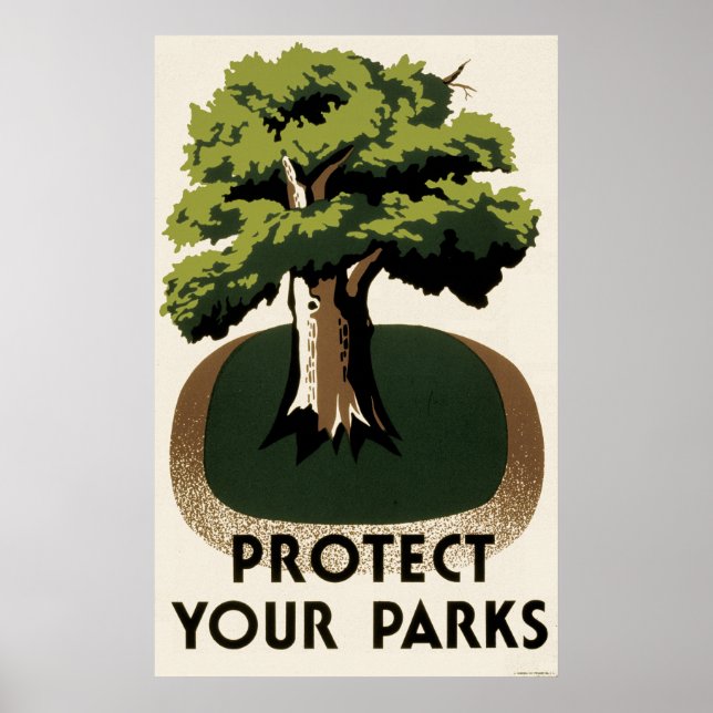 Protect Your Parks Poster (Front)