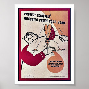 Protect Yourself Mosquito Proof Your Home Poster