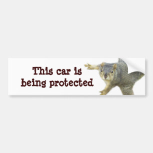 Protected_ Bumper Sticker