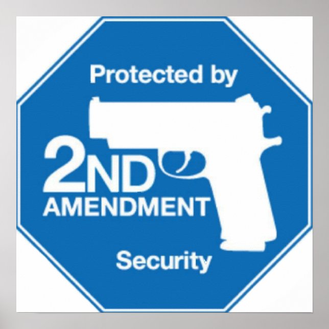Protected by 2nd AMENDMENT Security Poster (Front)
