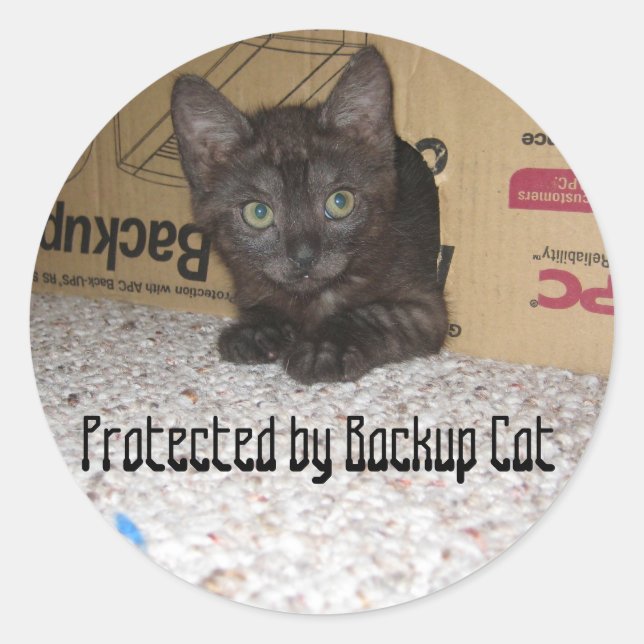 Protected by Backup Cat Classic Round Sticker (Front)