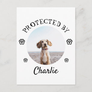 Protected By Dog Photo Paw Print Design Holiday Postcard