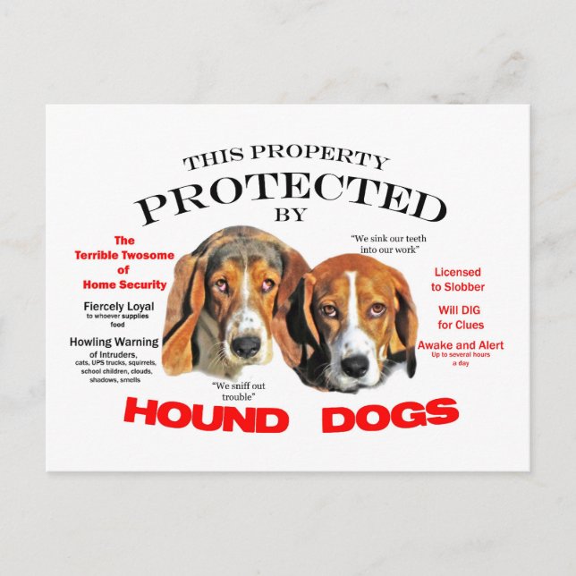 Protected by Hound Dogs Postcard (Front)
