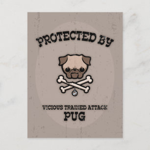 Protected By Pug Postcard