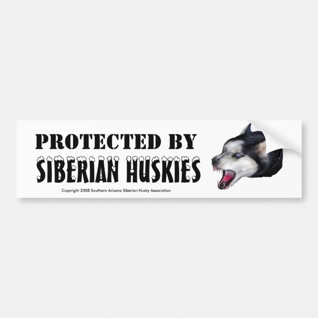 PROTECTED BY, SIBERIAN HUSKIES Bumper Sticker (Front)