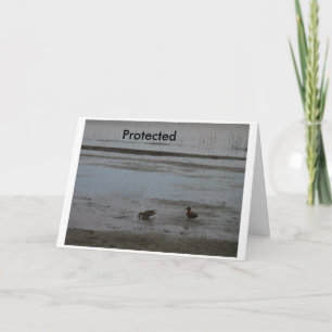 Protected Card
