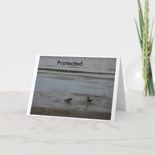 Protected Card (Front)