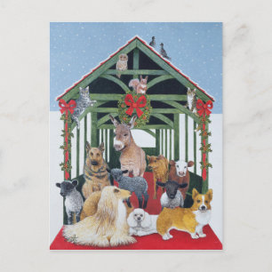 Protected Postcard