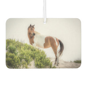 Protector of the Dunes Air Freshener