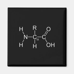 Protein Molecule - Gym And Chemistry Bodybuilding Magnet