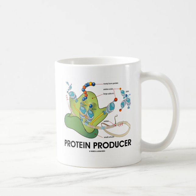 Protein Producer Biology Protein Synthesis Coffee Mug (Right)