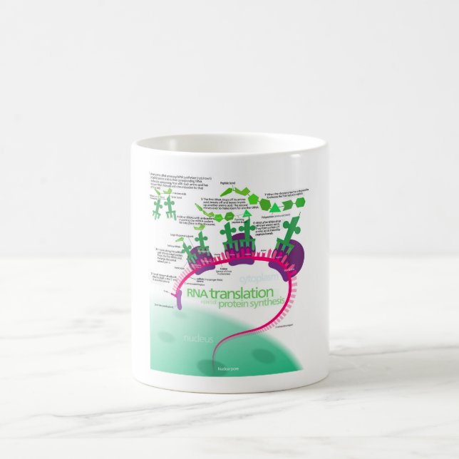 Protein Synthesis Diagram of RNA translation  Coffee Mug (Center)