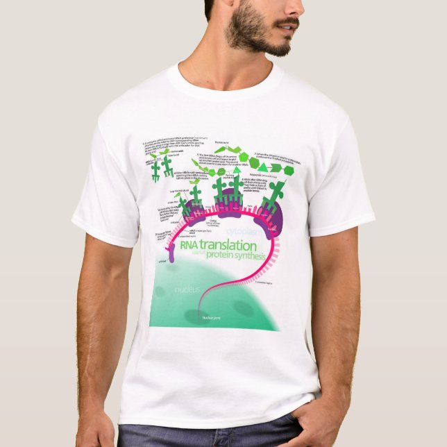 Protein Synthesis Diagram of RNA translation  T-Shirt (Front)