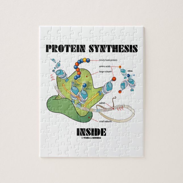 Protein Synthesis Inside (mRNA tRNA) Jigsaw Puzzle (Vertical)