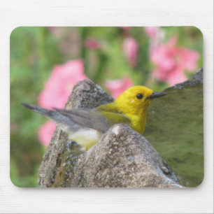 Prothonotary Bath Mousepad