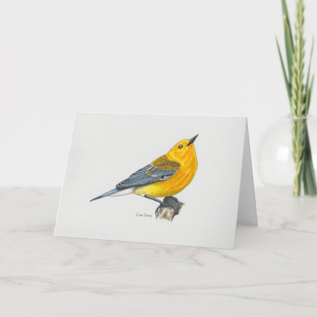 Prothonotary Warbler Art Card (Front)