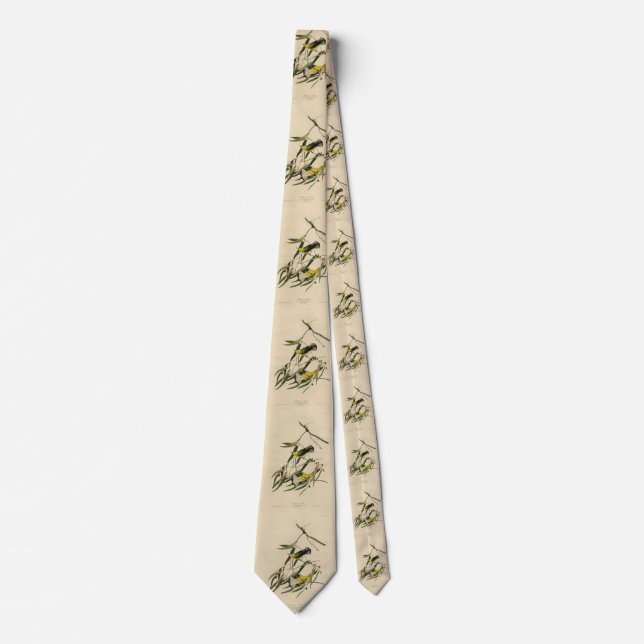 Prothonotary Warbler - Audubon's Birds of America Tie (Front)