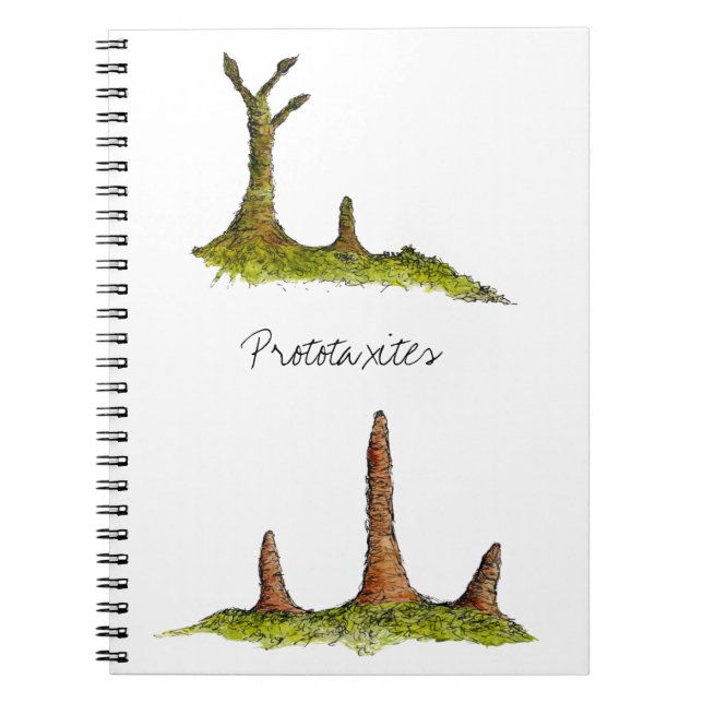 Prototaxites Notebook (Front)