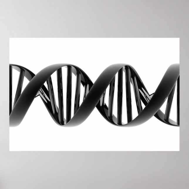 Prototype Poster (Front)