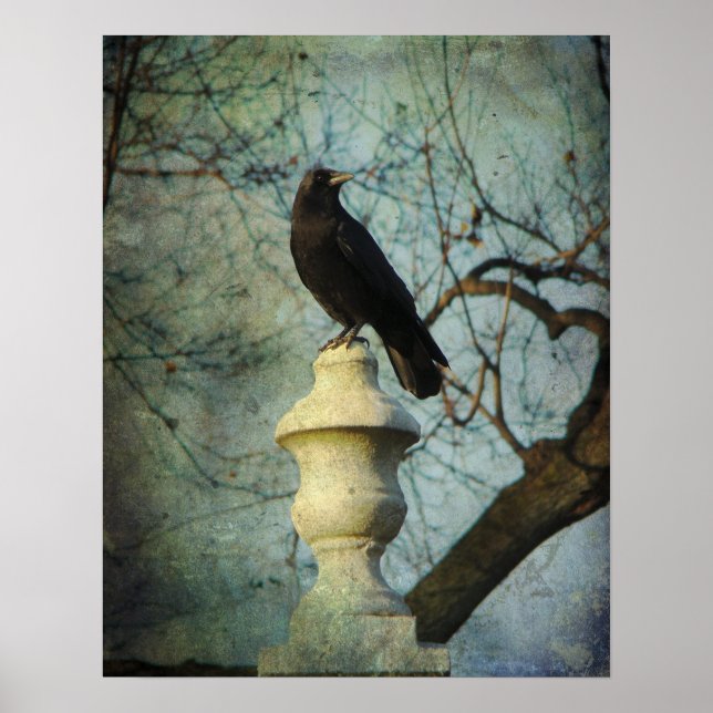 Proud American Crow Poster (Front)
