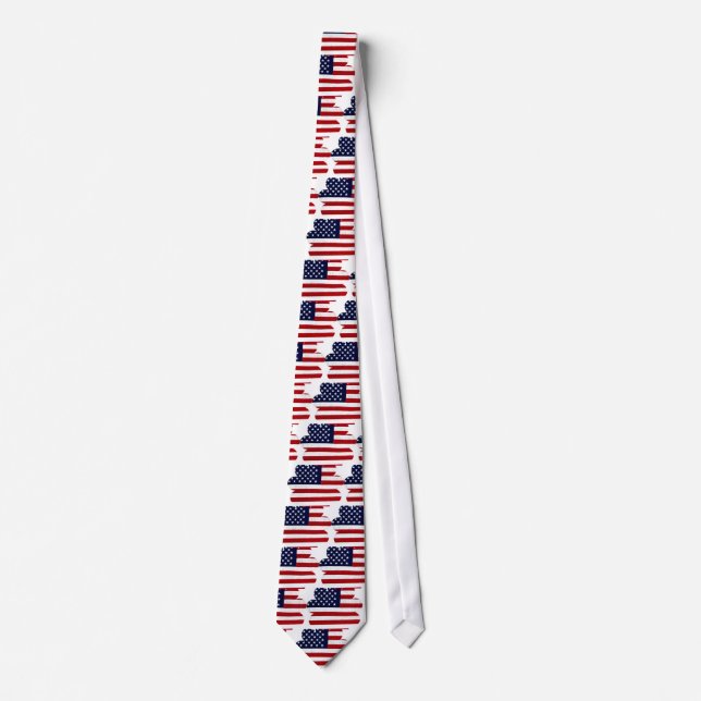 Proud American_ Tie (Front)