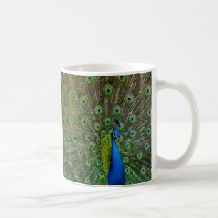 proud as a peacock coffee mug