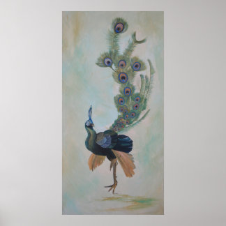 Proud As A Peacock Colorful Courtship Display Poster