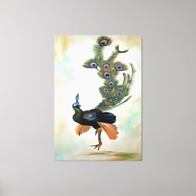 Proud As A Peacock Colourful Courtship Display Canvas Print (Front)